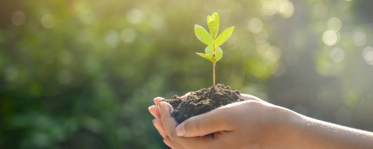 Sostenibilidad hoteles barcelona