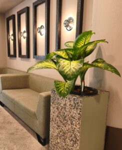 EL HOTEL ALIMARA Y CITYSENS, COMPROMETIDOS CON LA SOSTENIBILIDAD EN EL SECTOR HOSPITALITY